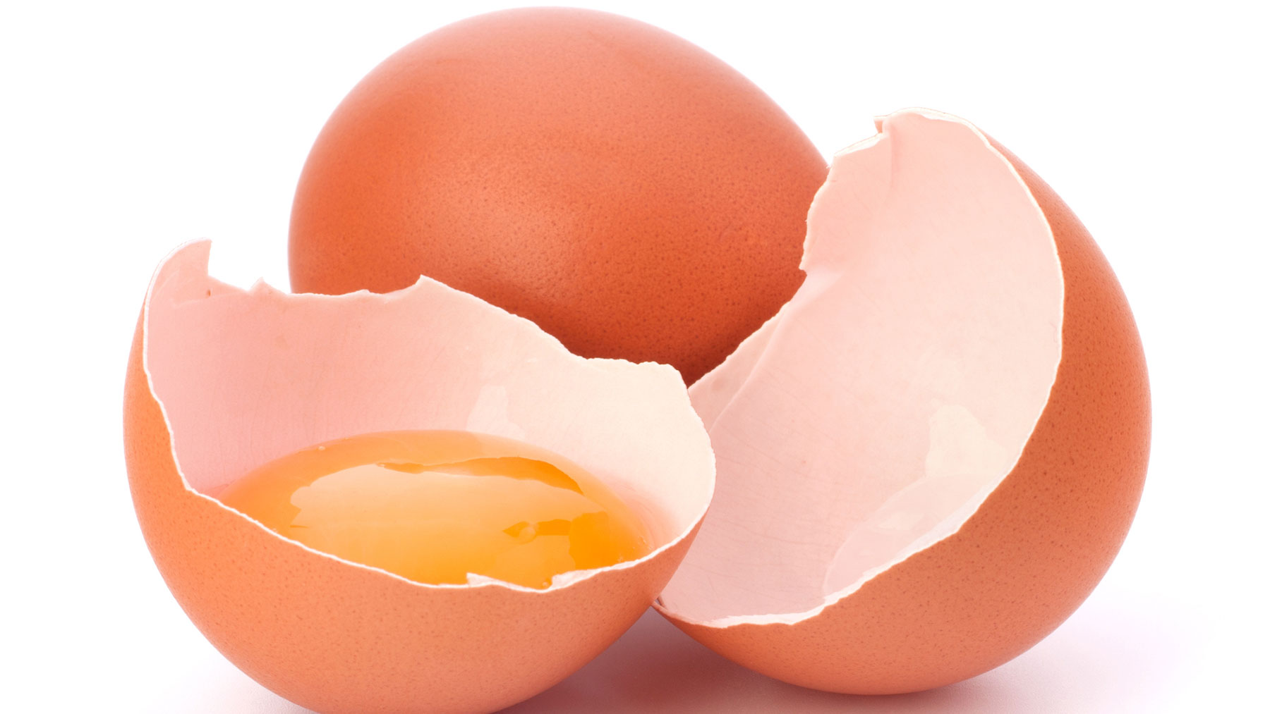 Los investigadores utilizan la membrana del cascarón de huevo de gallina.