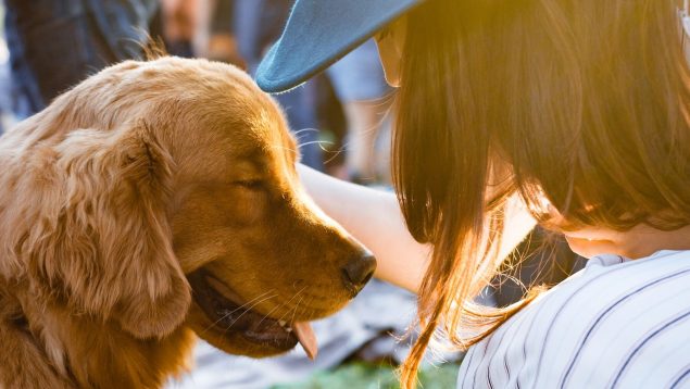 cuando puedo criar a mi perro