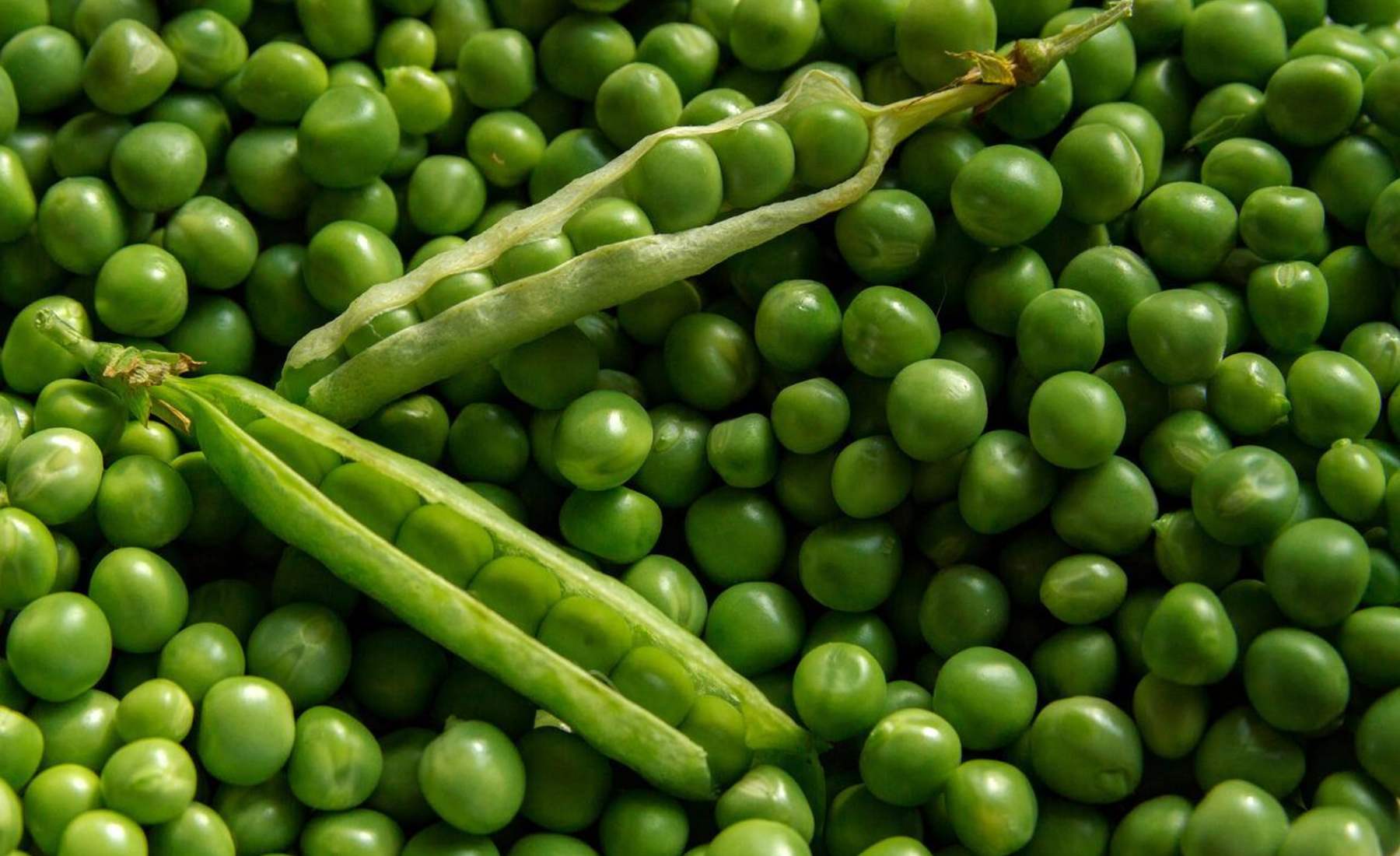 Potaje de guisantes