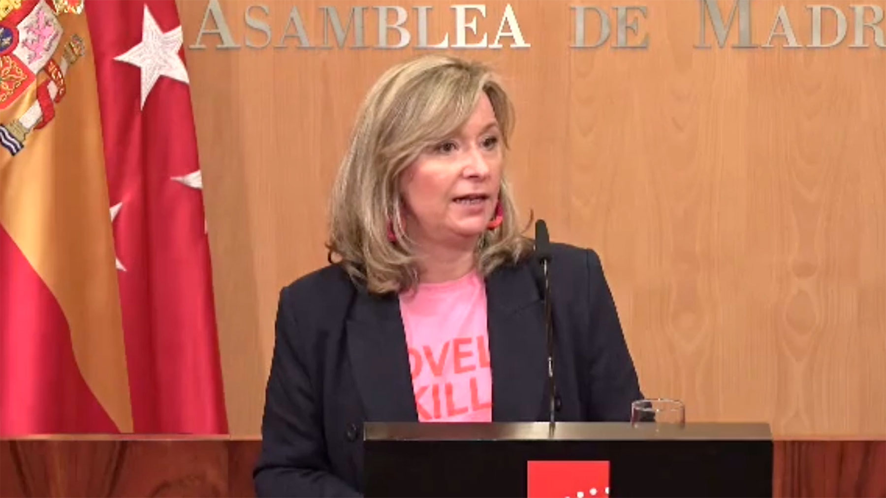 La portavoz adjunta del PSOE en la Asamblea de Madrid, Llanos Castellanos.