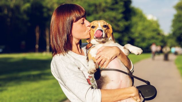 No podrás dejar a tu perro suelto nunca más en estos sitios: el cambio radical por la ley animal