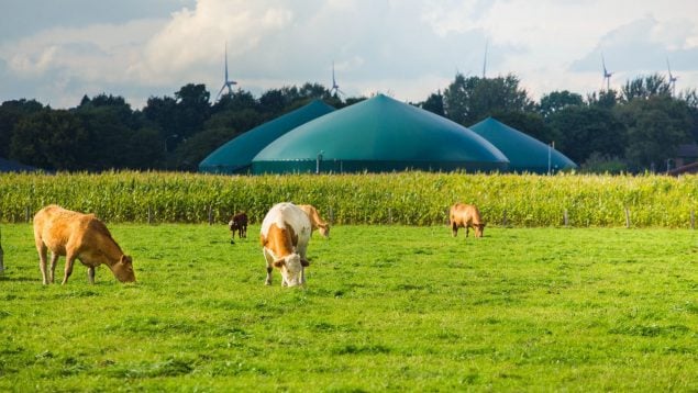 Cepsa comienza a desarrollar plantas de biometano con residuos agrícolas y ganaderos