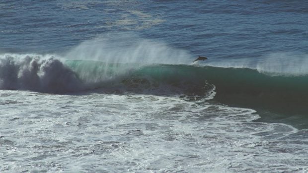 Viento y mar