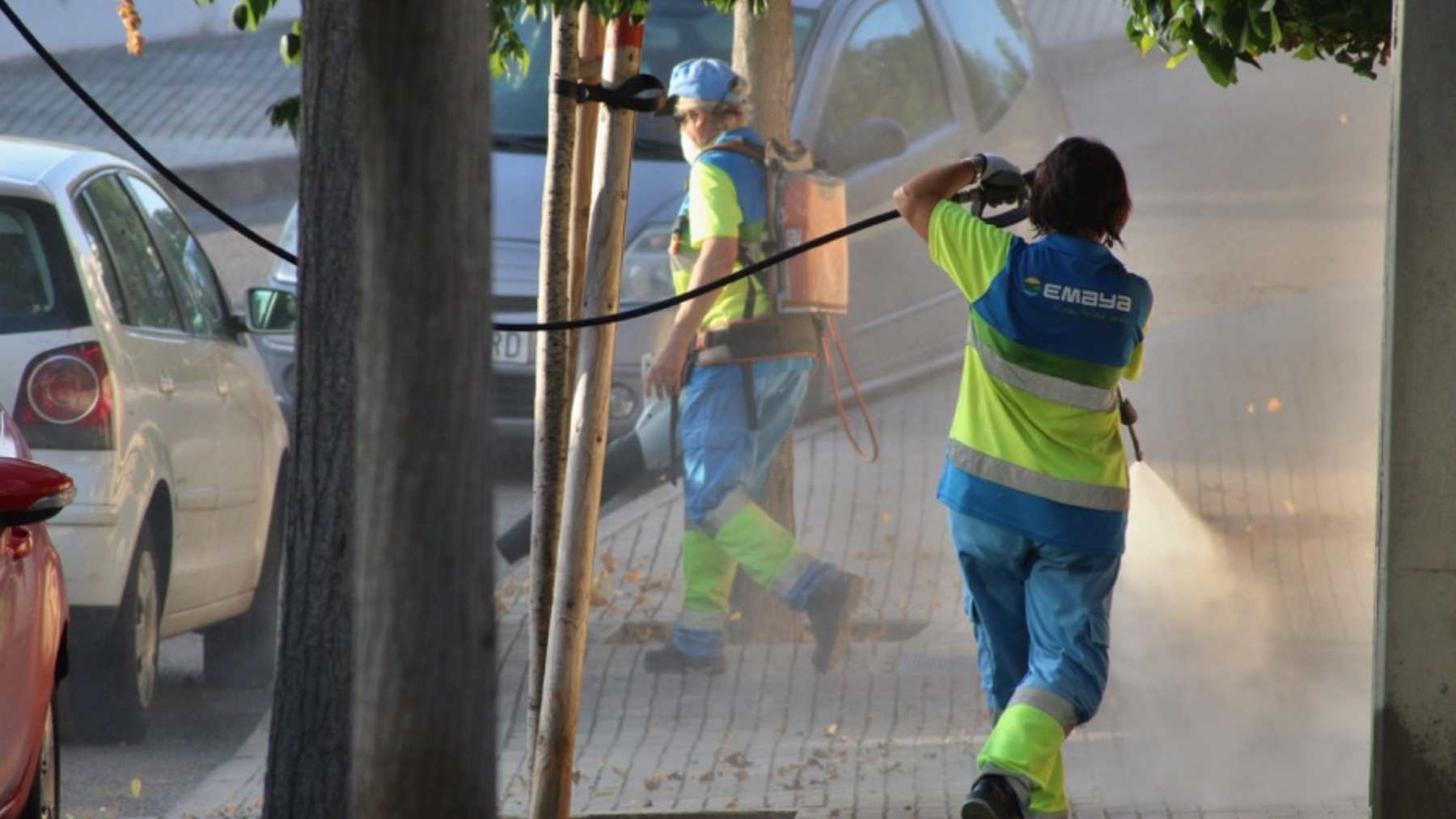 Trabajadores municipales del servicio de limpieza de Palma.