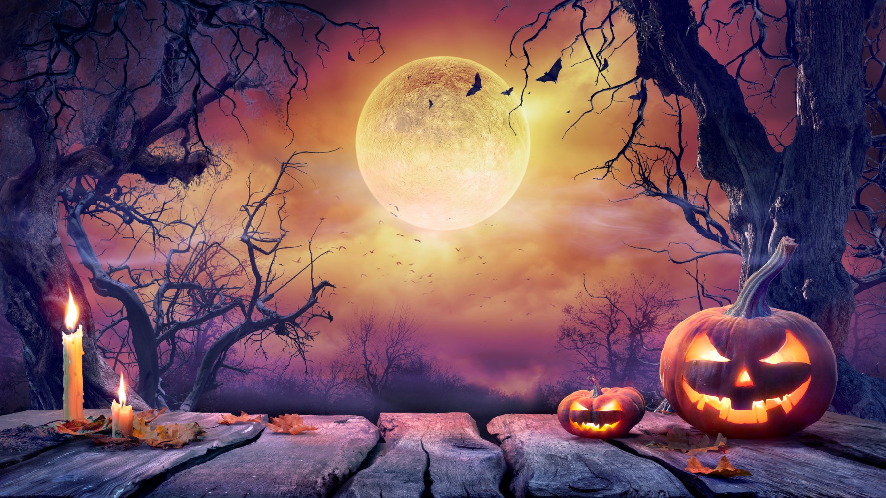 Imagen de archivo de Halloween. (Foto: Istock)