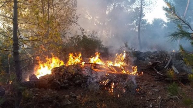 Incendio mallorca