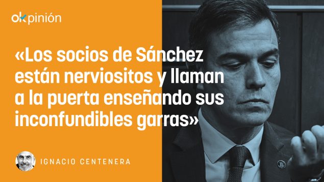 investidura Pedro Sánchez