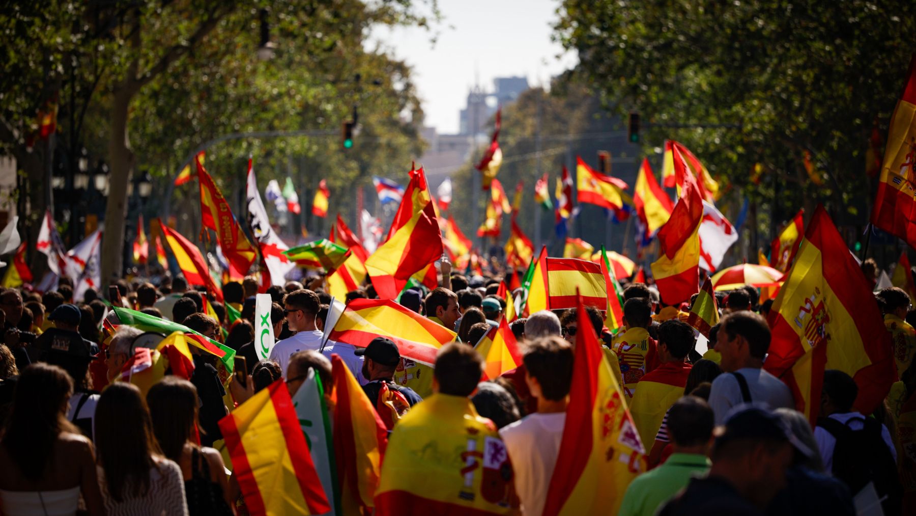 Manifestantes ondean banderas de España.