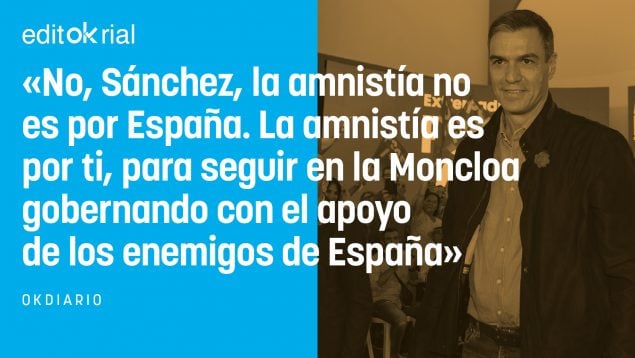 Pedro Sánchez amnistía