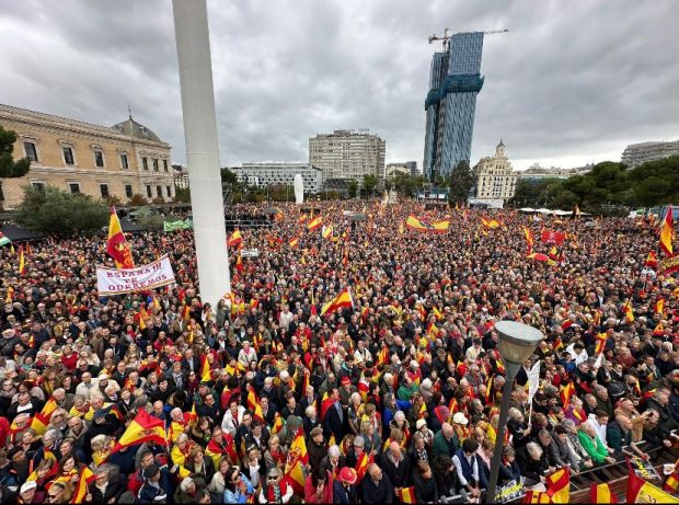 Manifestación, denaes, Madrid, Sánchez