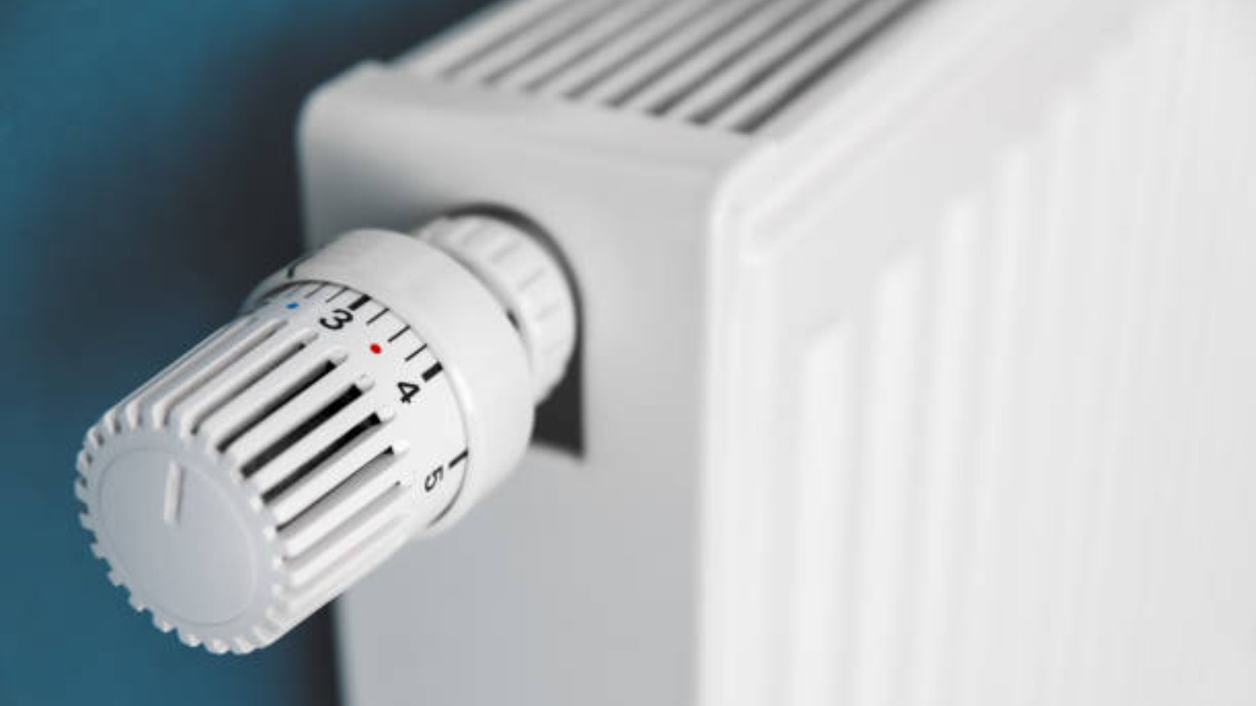 Los 10 mejores calefactores eléctricos de bajo consumo para calentar tu  casa con poco dinero