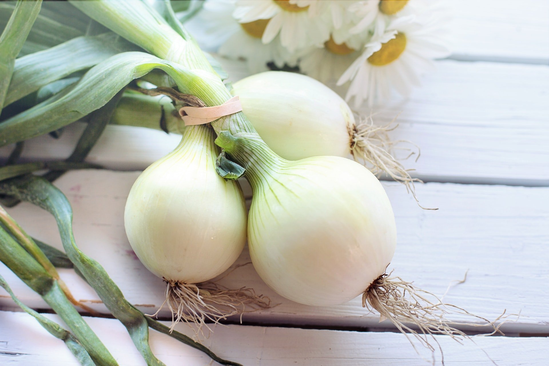 Los mejores alimentos que te protegerán del resfriado este otoño