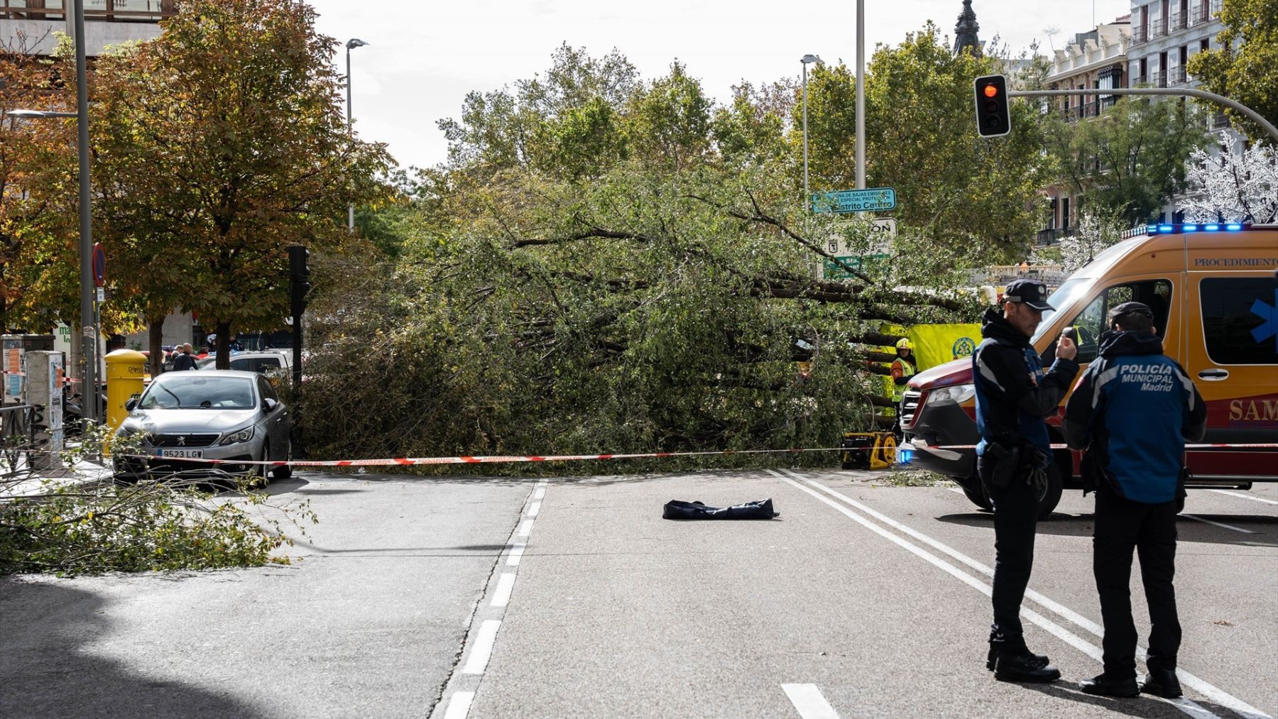 El árbol desplomado en la calle Almagro de Madrid (EP)