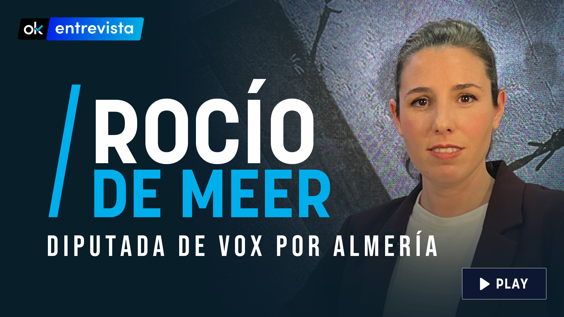 Rocío de Meer, diputada VOX por Almería