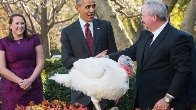Acción de Gracias: el motivo por el que el presidente de Estados Unidos indulta a dos pavos todos los años por ‘Thanksgiving’