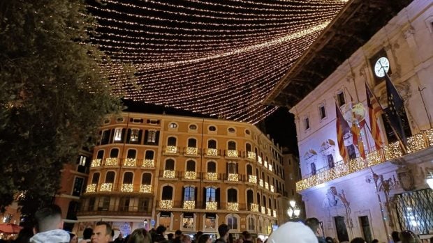 Palma luces de Navidad 