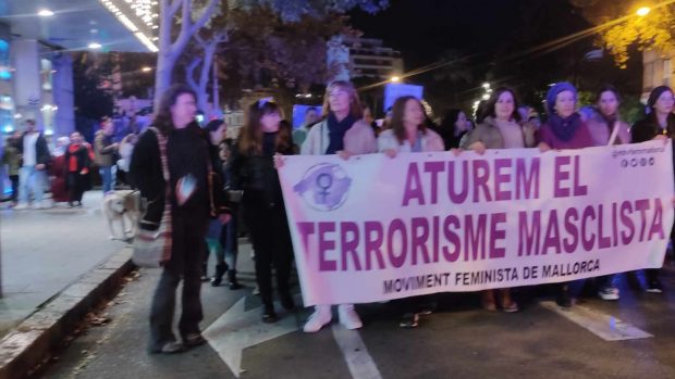 Feminismo 25N, Palma feminista