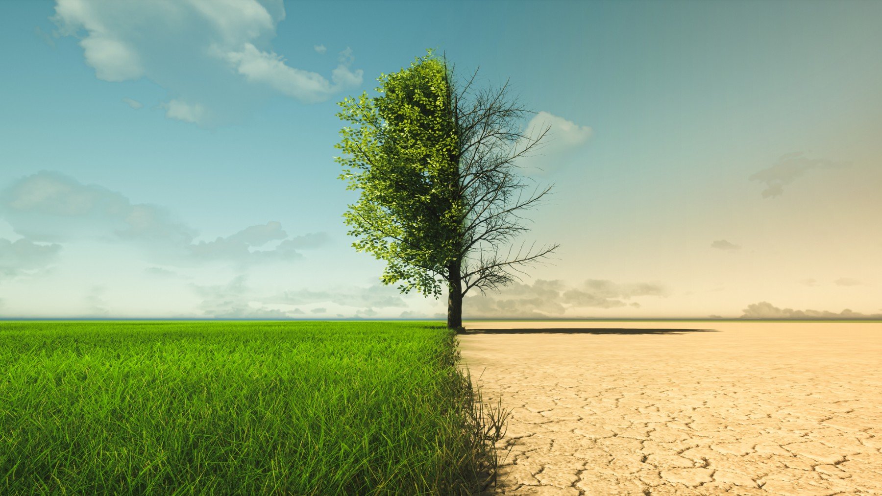 Cambio climático