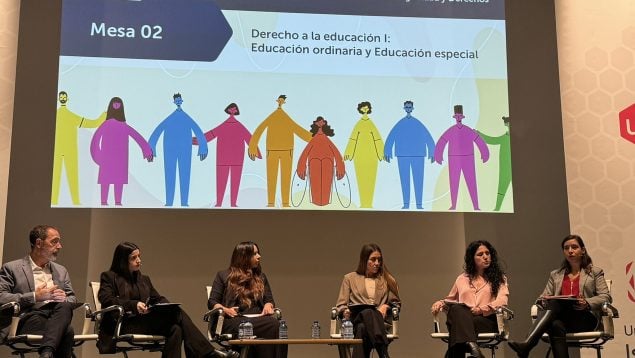 DISCAPACIDAD DIVERSIDAD