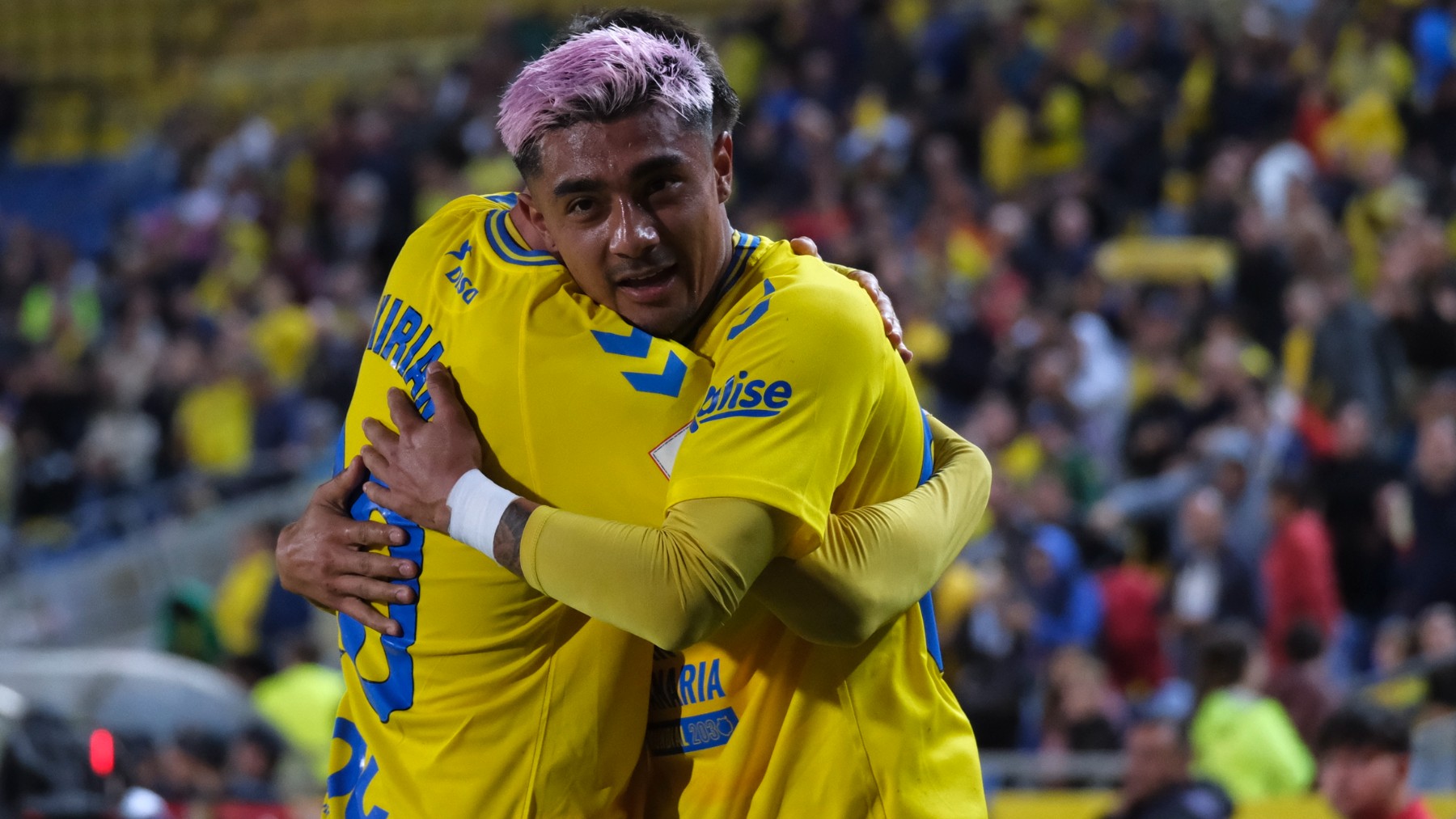Los jugadores de Las Palmas celebran el gol de Julián Araújo. (EFE)