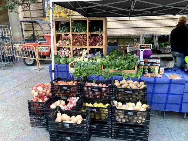 Zaragoza alimentos perdidos ecológicos