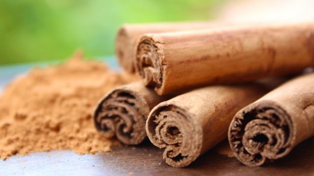 Ramas de canela