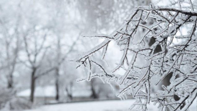 El frío se acaba, estas temperaturas por debajo de lo que sería habitual para esta época del año, tienen los días contados en este mes de diciembre