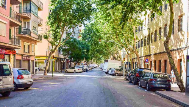 Pere Garau, Palma, pelea, reyerta, latinos, botellas