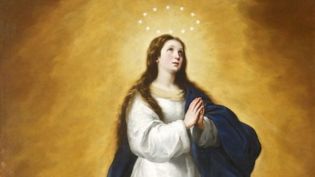 ¿Qué se le pide a la Virgen de la Inmaculada Concepción?