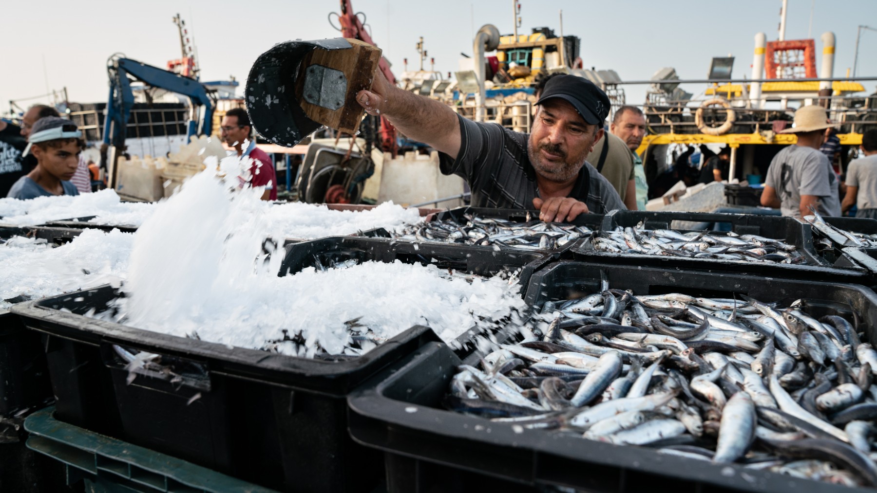 La sensible reducción de la sobrepesca en el Mediterráneo contrasta con la preocupación por la sobreexplotación que sigue soportando (Foto GFCM / Claudia Amico)