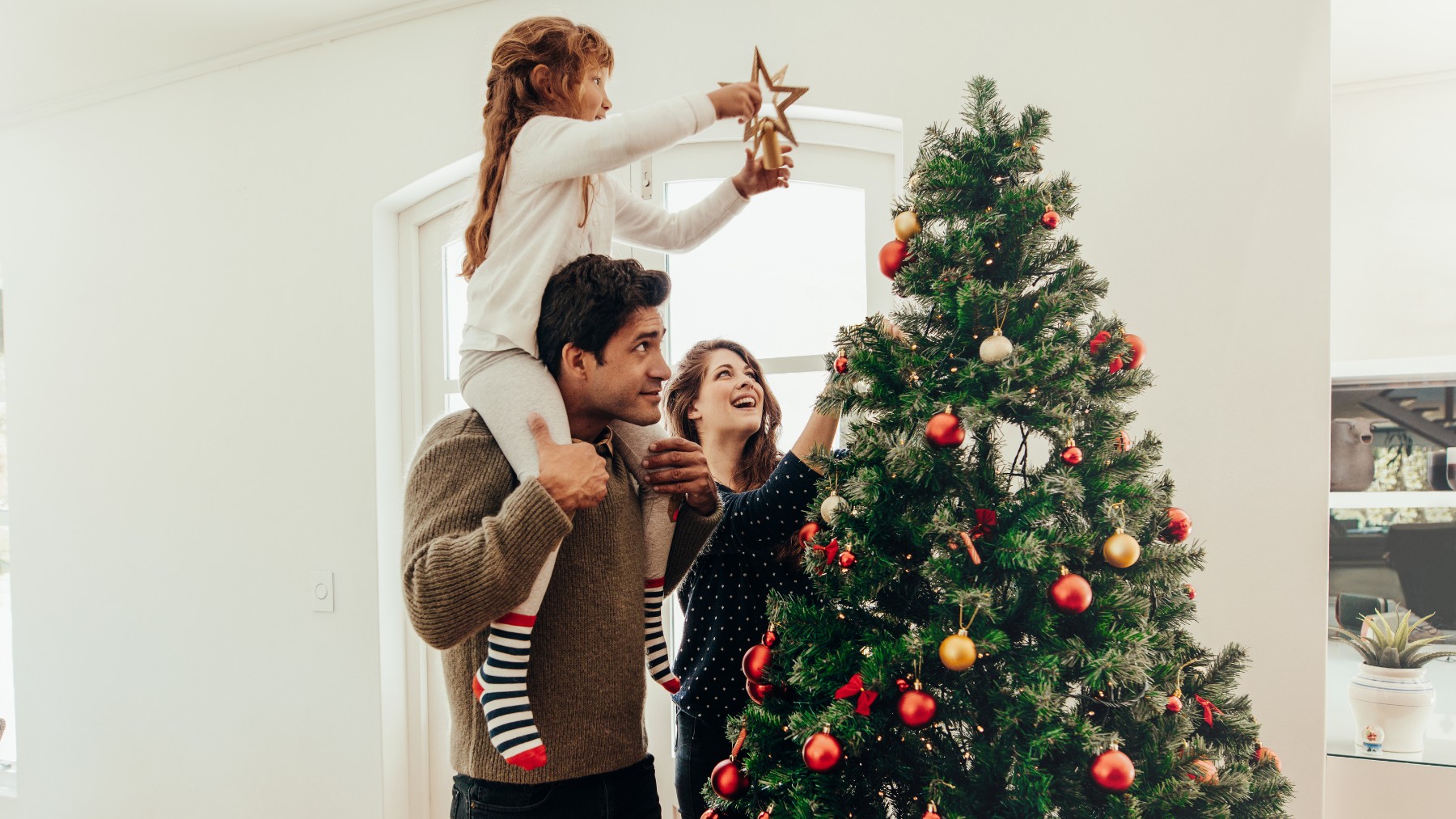 Cada año millones de árboles de Navidad aparecen de nuevo en las casas. La elección de si debe de ser plástico o natural es muy sencilla si atendemos a criterios de sostenibilidad