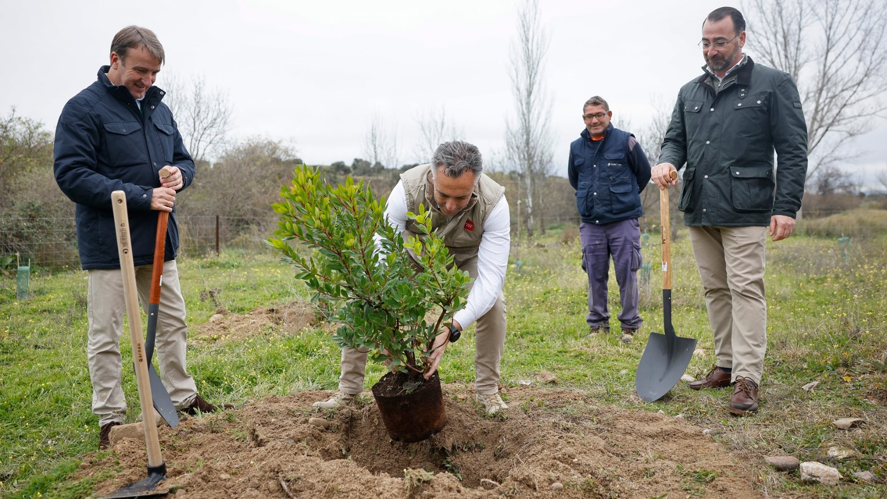 El árbol número 150.000 del Arco Verde madrileño ha sido plantado en Tres Cantos