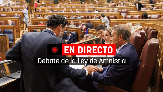debate ley amnistía en directo