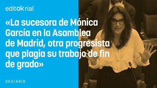 Primera lección del manual progresista: plagia y llegarás lejos