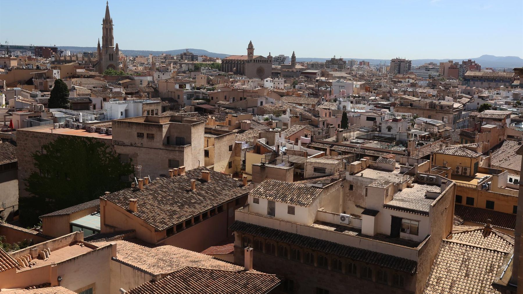 Vista panorámica del centro histórico de Palma.