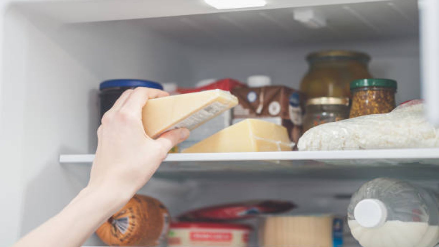 Cómo conservar el queso de forma correcta