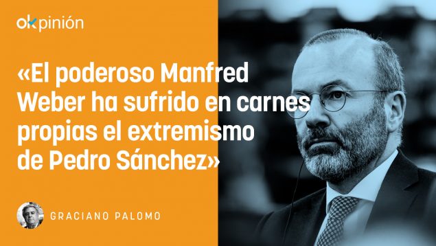 Manfred Weber Pedro Sánchez