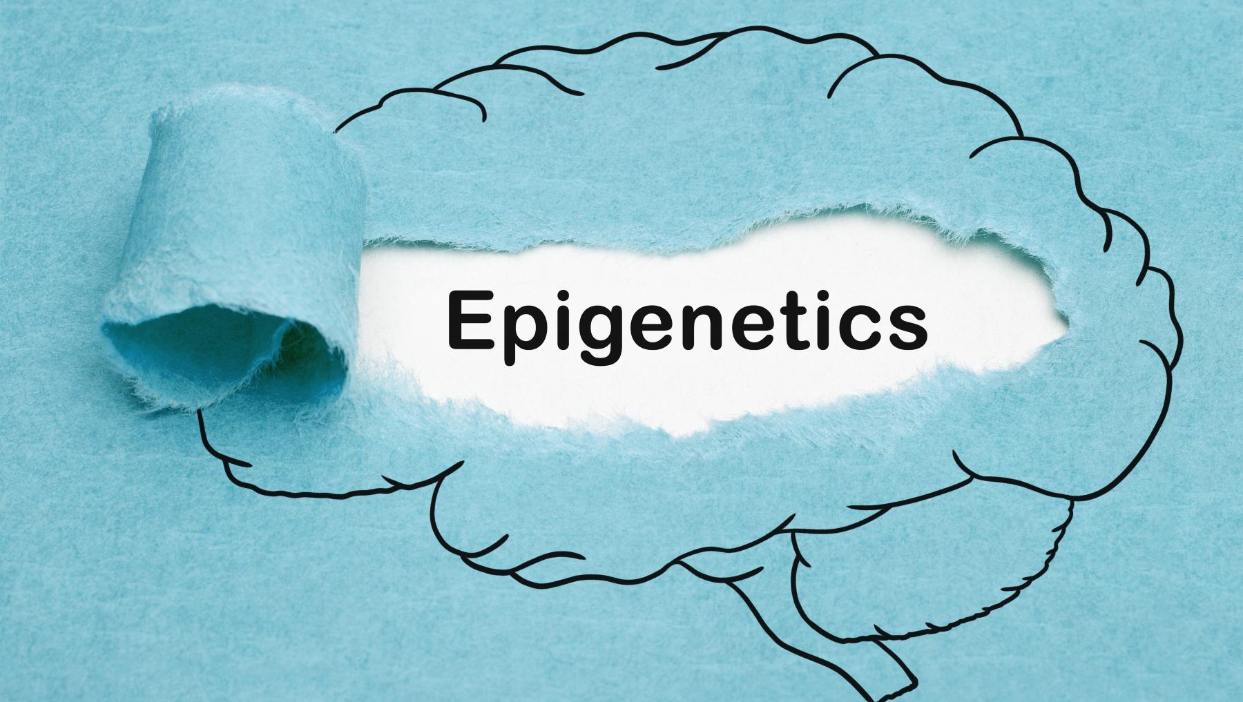 El papel de la epigenética