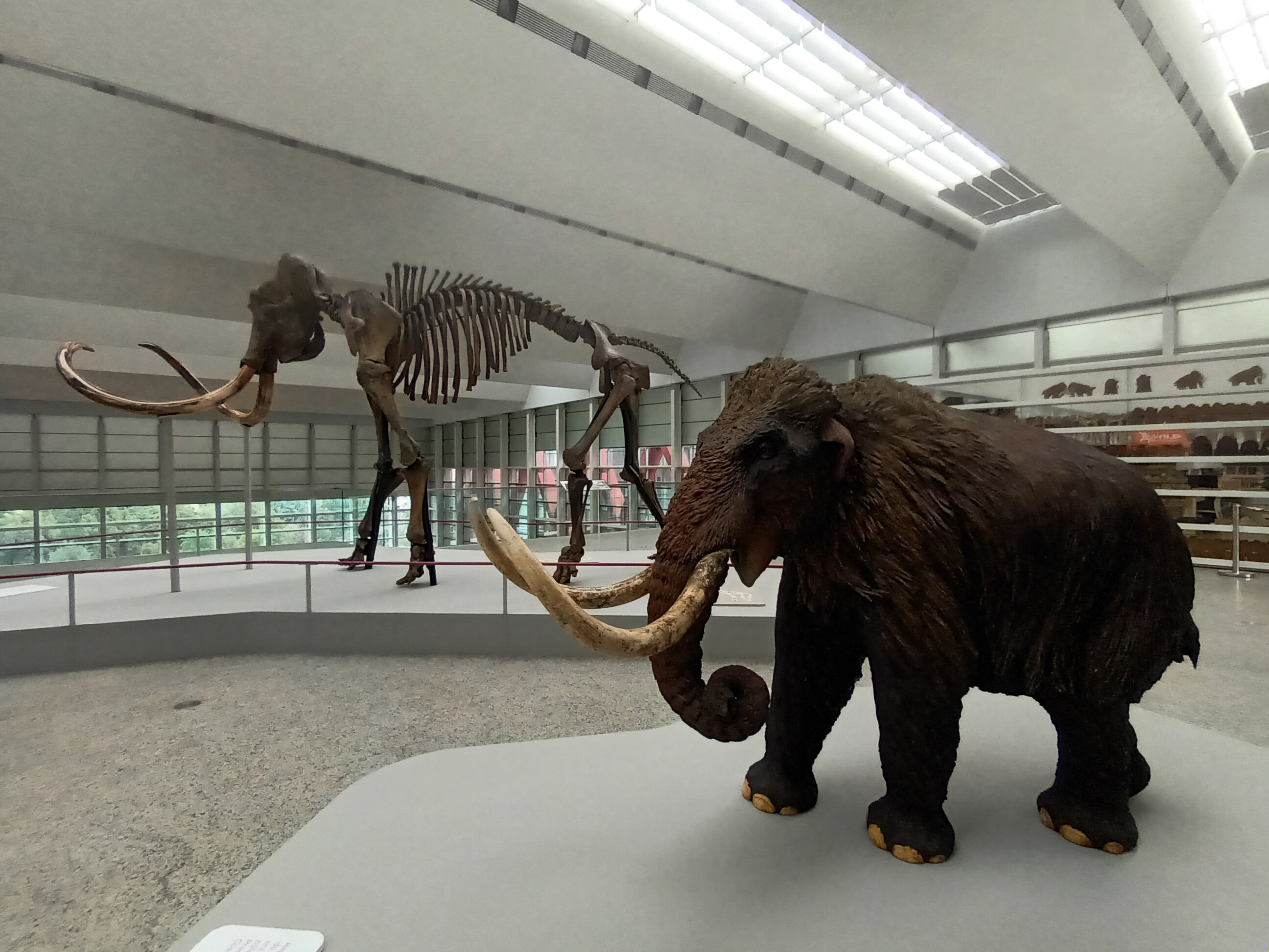 Museo de la Evolución Humana @TurismoCastillayLeón