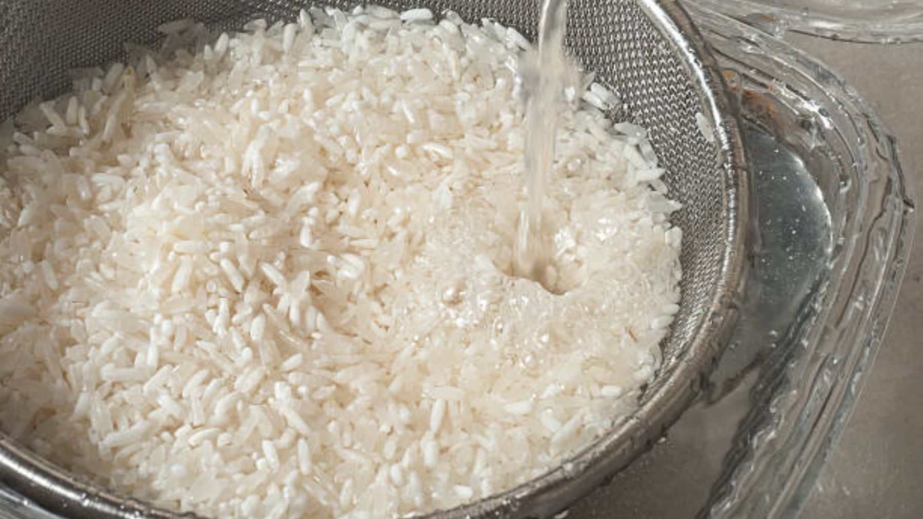 Cuál es el mejor arroz para hacer arroz con leche?: Descúbrelo