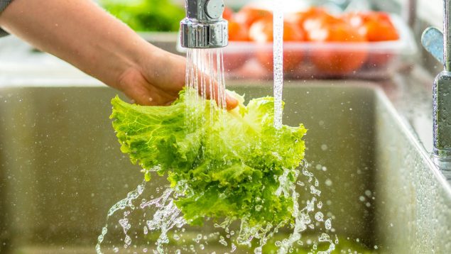 La forma de lavar la verdura con la que no te comerás ni un bicho