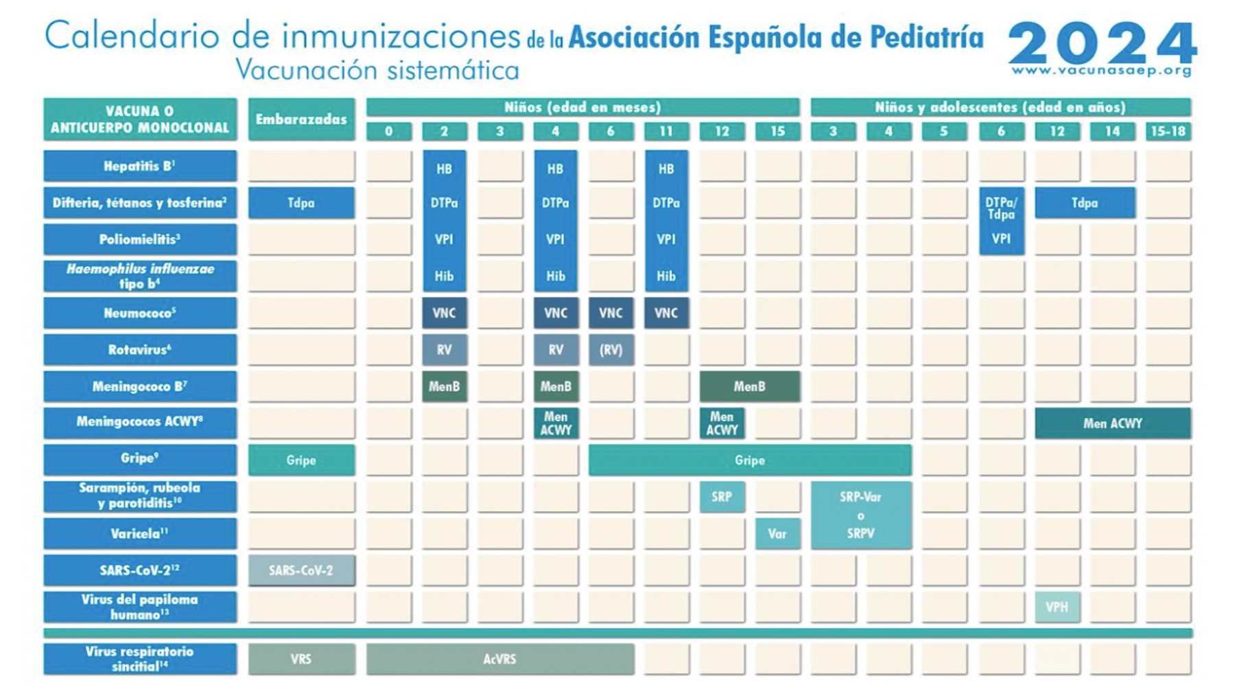 Nuevo calendario vacunal en España para 2024.