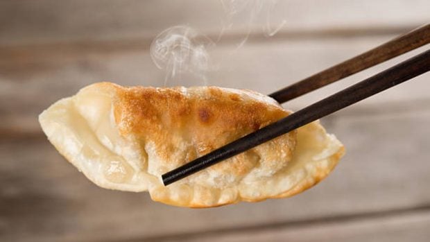 gyozas