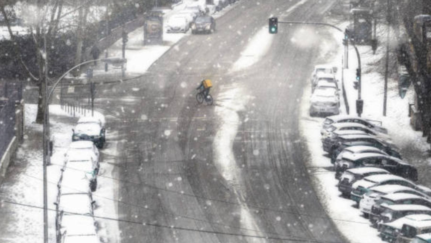 Nevadas.