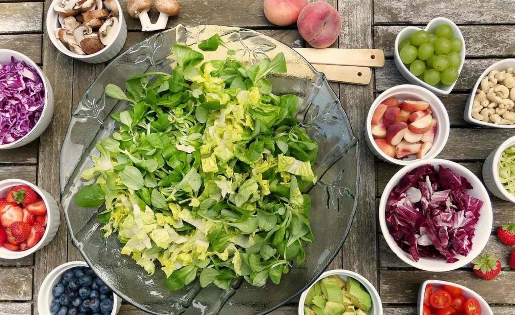 alimentos13