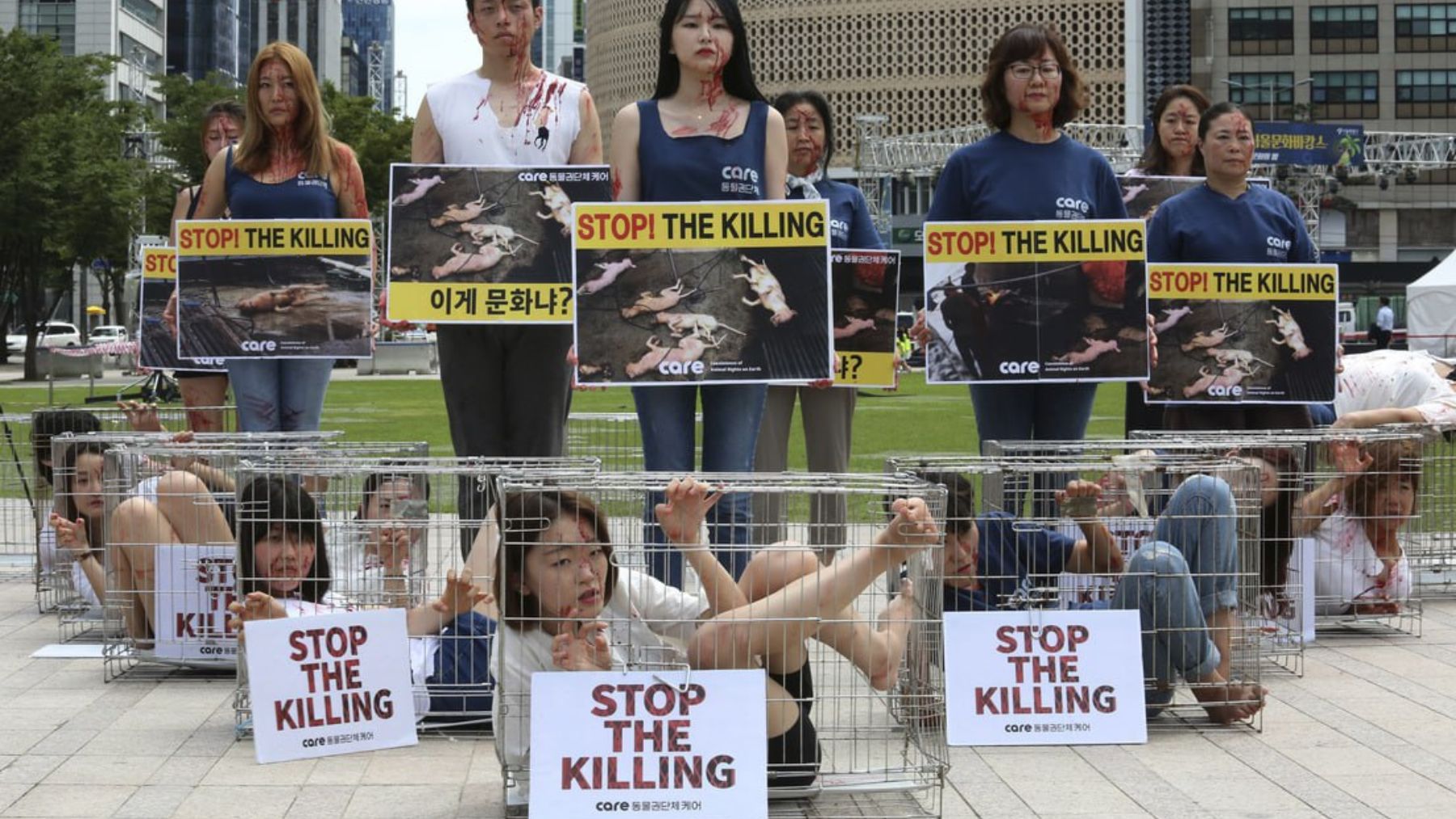 Activistas surcoreanos protestando contra los criaderos de perros