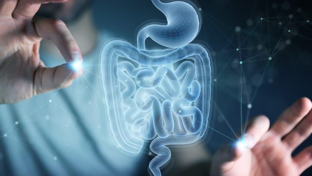 ¿Por qué los probióticos actúan como cóctel de medicamentos contra la gripe?