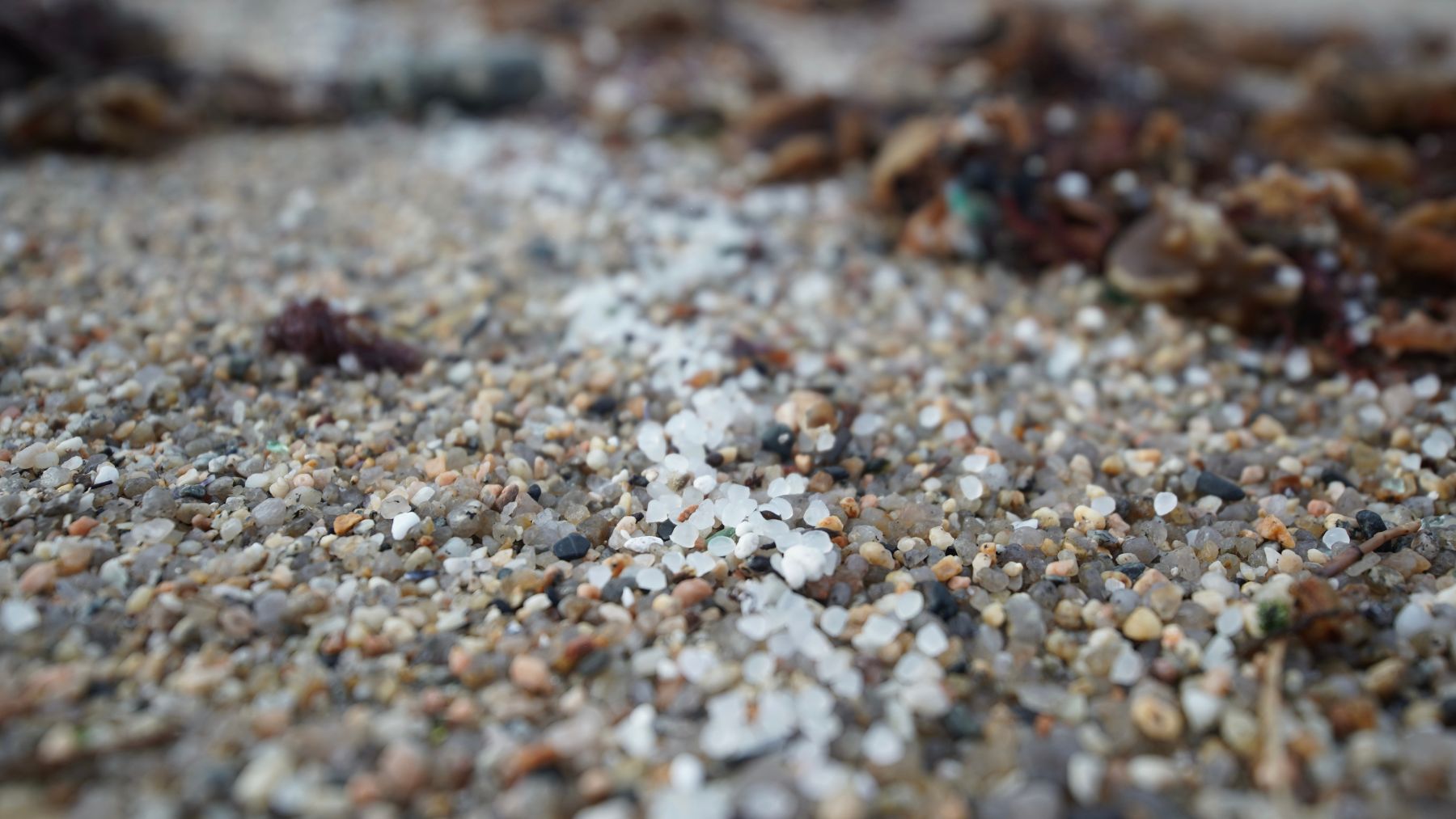 Una playa gallega con pellet