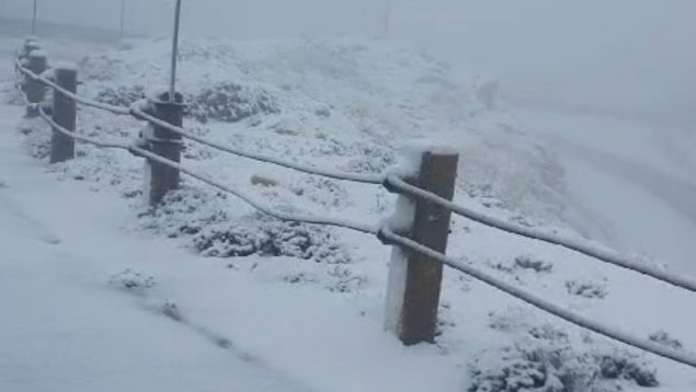 PUIG MAYOR NIEVE, Nieve Mallorca hoy,