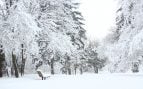 La AEMET avisa a Madrid porque vuelve la nieve y ya hay día: alerta en estas zonas
